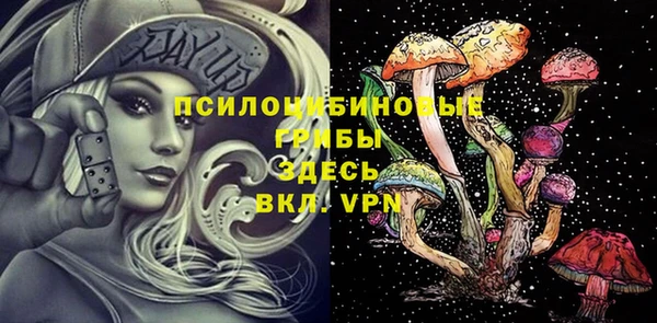 спайс Кодинск