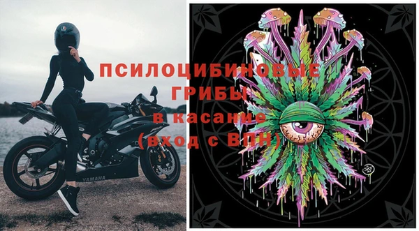 спайс Кодинск