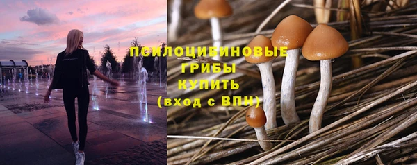 мескалин Козловка