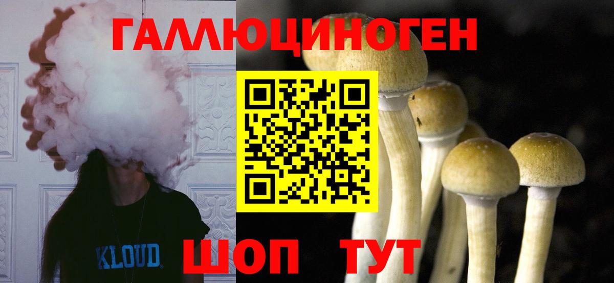 Кирово-Чепецк  наркота  Вход с VPN  Псилоцибиновые грибы Psilocybine cubensis  Галлюциногенные грибы ЛСД 